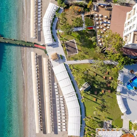 Complex Seven Seas Gravel Select Kemer